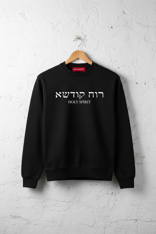 Holy Spirit Sweatshirt hung up